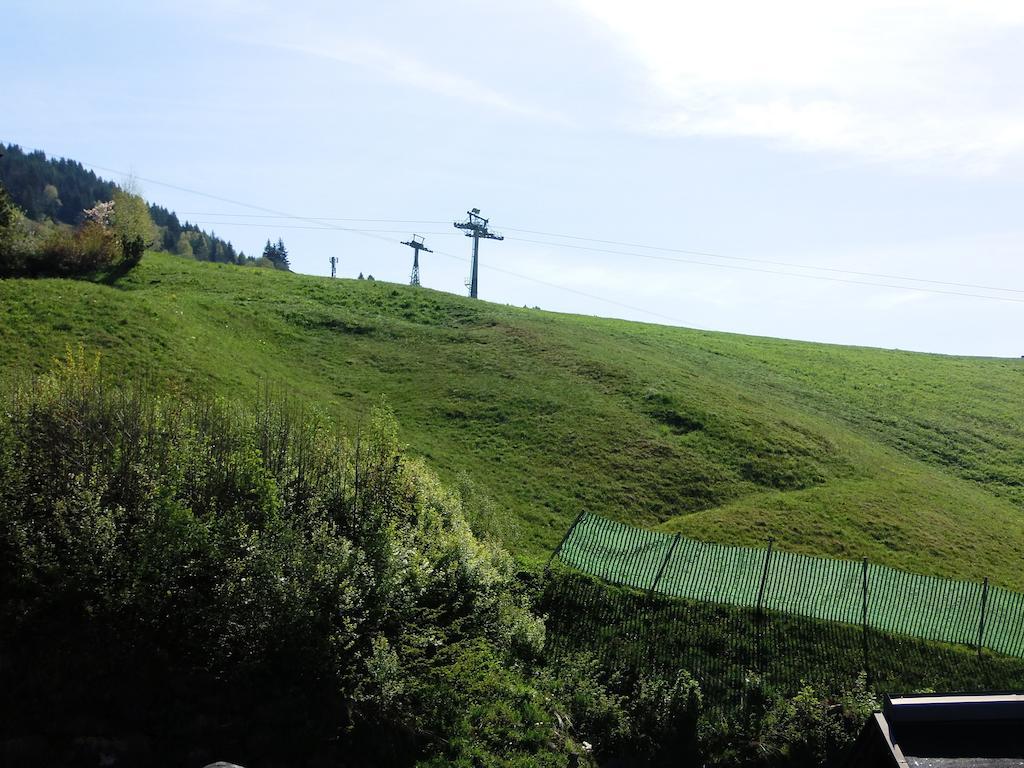 Haus Bergheim Leilighet Saalbach-Hinterglemm Eksteriør bilde
