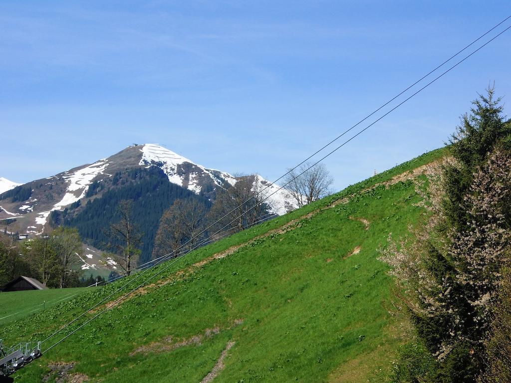Haus Bergheim Leilighet Saalbach-Hinterglemm Eksteriør bilde